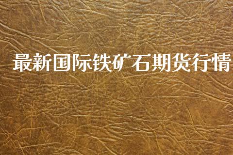 最新国际铁矿石期货行情_https://www.ltsssb.com_期货行情_第1张