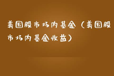美国股市场内基金（美国股市场内基金收益）_https://www.ltsssb.com_国际财经_第1张