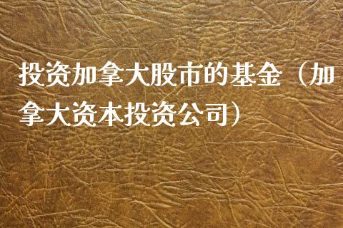 投资加拿大股市的基金（加拿大资本投资公司）_https://www.ltsssb.com_国际财经_第1张