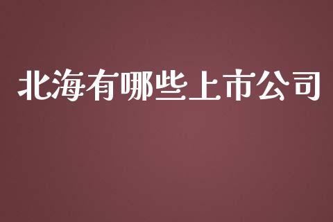 北海有哪些上市公司_https://www.ltsssb.com_国际财经_第1张
