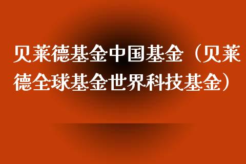 贝莱德基金中国基金（贝莱德全球基金世界科技基金）_https://www.ltsssb.com_国际财经_第1张