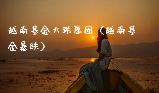 越南基金大跌原因（越南基金暴跌）_https://www.ltsssb.com_国际财经_第1张