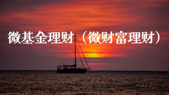 微基金理财（微财富理财）_https://www.ltsssb.com_基金频道_第1张