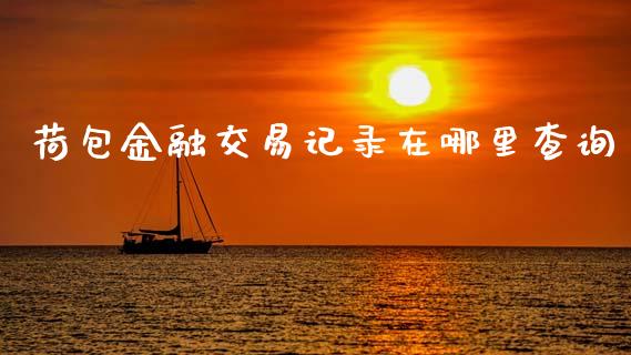荷包金融交易记录在哪里查询_https://www.ltsssb.com_基金频道_第1张