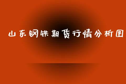 山东钢铁期货行情分析图_https://www.ltsssb.com_期货密码_第1张