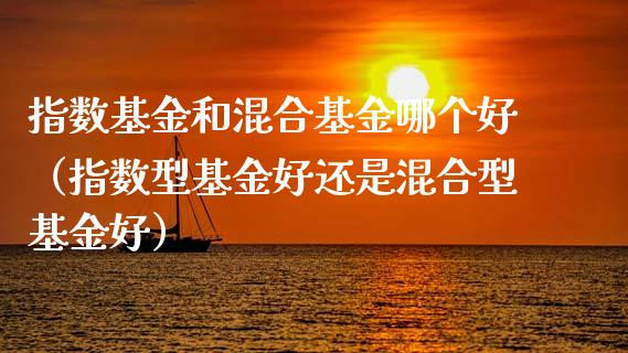 指数基金和混合基金哪个好（指数型基金好还是混合型基金好）_https://www.ltsssb.com_国际财经_第1张