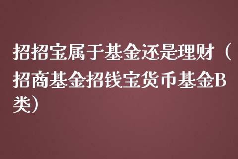 招招宝属于基金还是理财（招商基金招钱宝货币基金B类）_https://www.ltsssb.com_基金频道_第1张