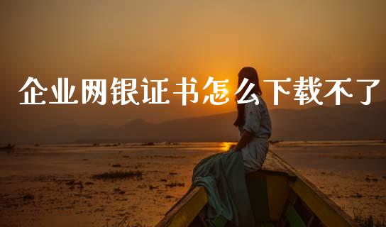企业网银证书怎么下载不了_https://www.ltsssb.com_国际财经_第1张
