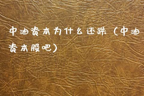 中油资本为什么还跌（中油资本股吧）_https://www.ltsssb.com_股市分析_第1张