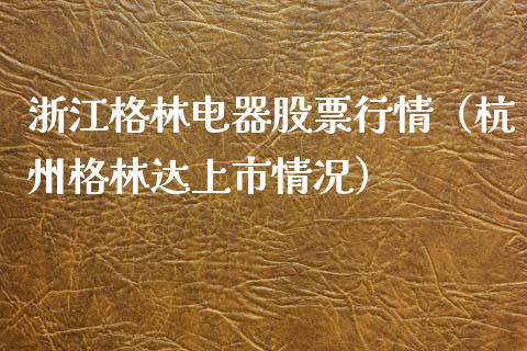 浙江格林电器股票行情（杭州格林达上市情况）_https://www.ltsssb.com_新股数据_第1张