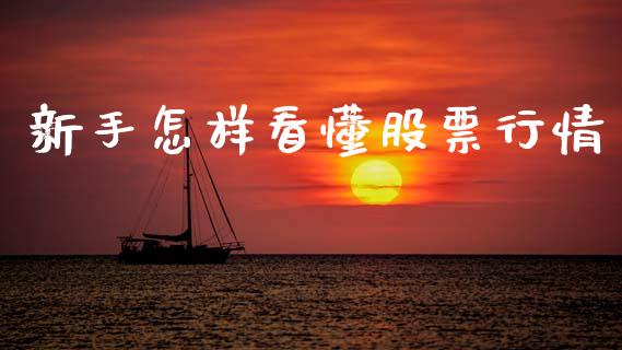 新手怎样看懂股票行情_https://www.ltsssb.com_股票理论_第1张