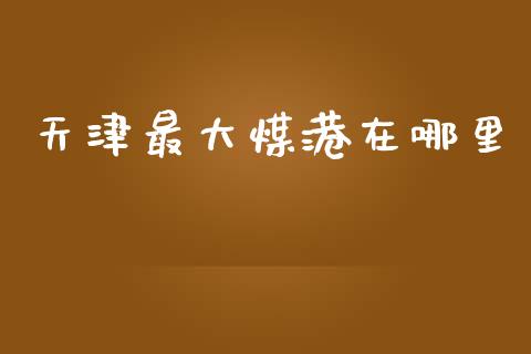 天津最大煤港在哪里_https://www.ltsssb.com_基金频道_第1张
