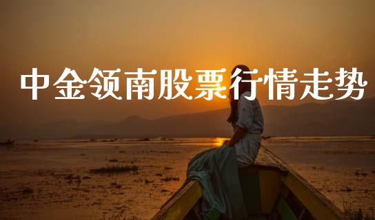 中金领南股票行情走势_https://www.ltsssb.com_新股数据_第1张