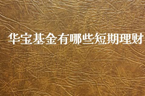 华宝基金有哪些短期理财_https://www.ltsssb.com_国际财经_第1张