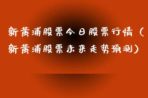新黄浦股票今日股票行情（新黄浦股票未来走势预测）_https://www.ltsssb.com_新股数据_第1张