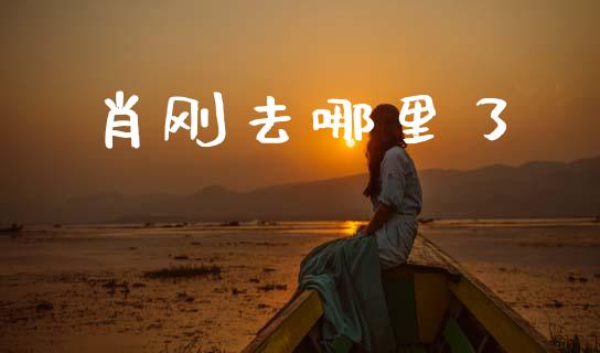 肖刚去哪里了_https://www.ltsssb.com_国际财经_第1张