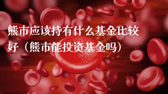 熊市应该持有什么基金比较好（熊市能投资基金吗）_https://www.ltsssb.com_国际财经_第1张