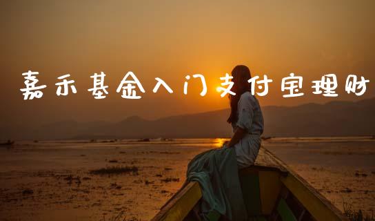 嘉禾基金入门支付宝理财_https://www.ltsssb.com_基金频道_第1张