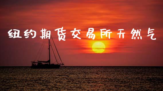 纽约期货交易所天然气_https://www.ltsssb.com_基金频道_第1张