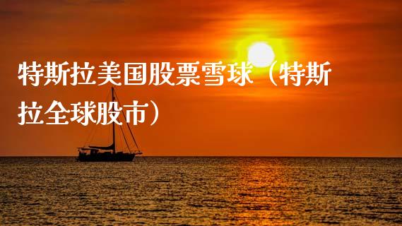 特斯拉美国股票雪球（特斯拉全球股市）_https://www.ltsssb.com_新股数据_第1张