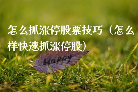 怎么抓涨停股票技巧（怎么样快速抓涨停股）_https://www.ltsssb.com_股票理论_第1张