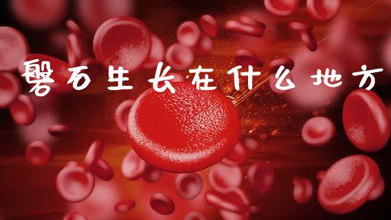 磐石生长在什么地方_https://www.ltsssb.com_期货行情_第1张