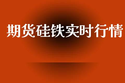 期货硅铁实时行情_https://www.ltsssb.com_期货在线_第1张