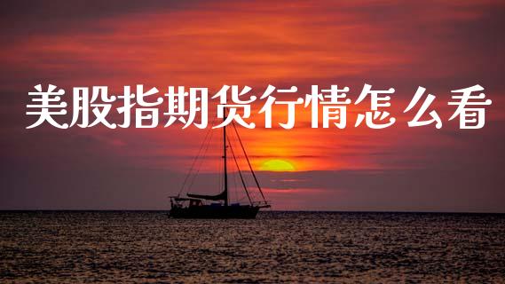 美股指期货行情怎么看_https://www.ltsssb.com_期货行情_第1张