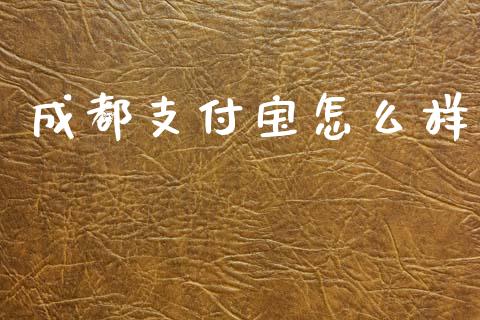 成都支付宝怎么样_https://www.ltsssb.com_新股数据_第1张