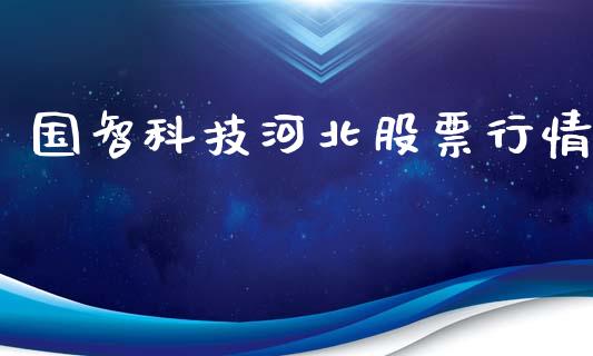 国智科技河北股票行情_https://www.ltsssb.com_新股数据_第1张