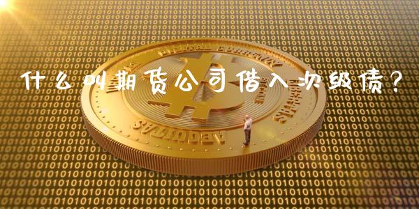 什么叫期货公司借入次级债？_https://www.ltsssb.com_基金频道_第1张
