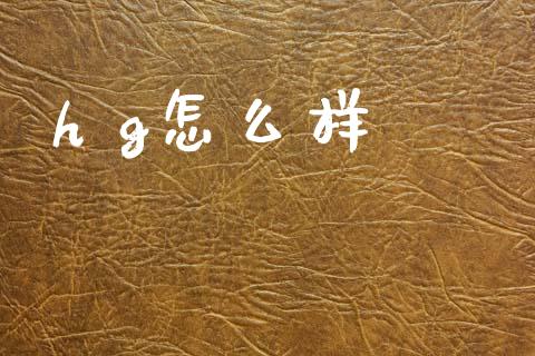 h g怎么样_https://www.ltsssb.com_期货行情_第1张