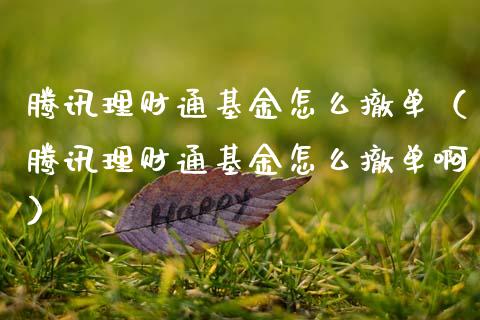 腾讯理财通基金怎么撤单（腾讯理财通基金怎么撤单啊）_https://www.ltsssb.com_基金频道_第1张