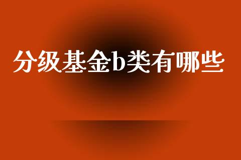 分级基金b类有哪些_https://www.ltsssb.com_期货在线_第1张