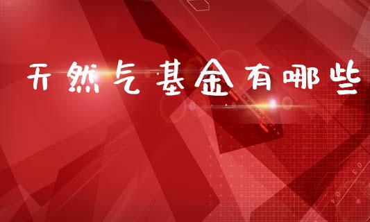天然气基金有哪些_https://www.ltsssb.com_新股数据_第1张