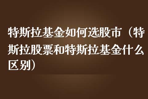 特斯拉基金如何选股市（特斯拉股票和特斯拉基金什么区别）_https://www.ltsssb.com_基金频道_第1张