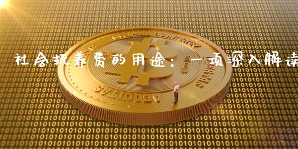 社会抚养费的用途：一项深入解读_https://www.ltsssb.com_期货在线_第1张