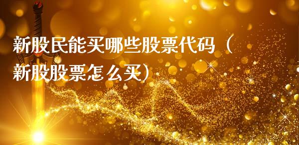 新股民能买哪些股票代码（新股股票怎么买）_https://www.ltsssb.com_股票理论_第1张