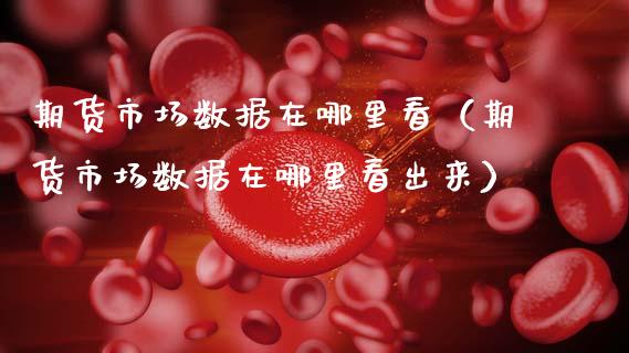期货市场数据在哪里看（期货市场数据在哪里看出来）_https://www.ltsssb.com_期货密码_第1张