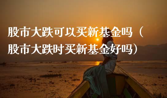 股市大跌可以买新基金吗（股市大跌时买新基金好吗）_https://www.ltsssb.com_基金频道_第1张