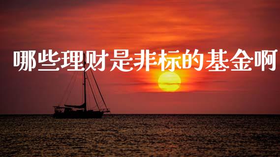 哪些理财是非标的基金啊_https://www.ltsssb.com_基金频道_第1张
