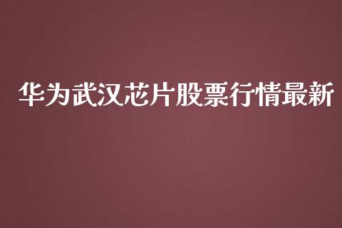 华为武汉芯片股票行情最新_https://www.ltsssb.com_股市分析_第1张