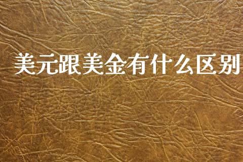美元跟美金有什么区别_https://www.ltsssb.com_股市分析_第1张