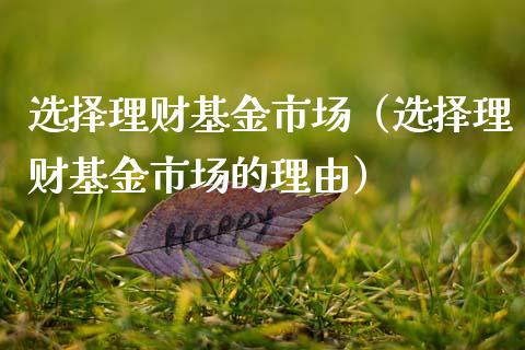 选择理财基金市场（选择理财基金市场的理由）_https://www.ltsssb.com_基金频道_第1张