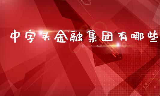 中字头金融集团有哪些_https://www.ltsssb.com_期货行情_第1张