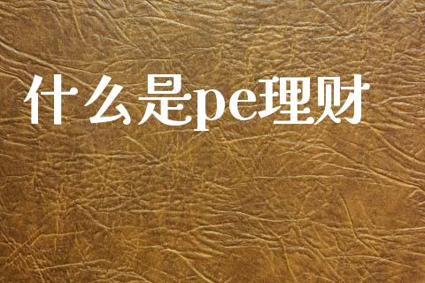 什么是pe理财_https://www.ltsssb.com_国际财经_第1张