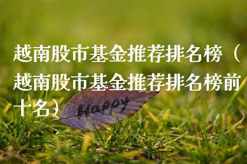 越南股市基金推荐排名榜（越南股市基金推荐排名榜前十名）_https://www.ltsssb.com_基金频道_第1张