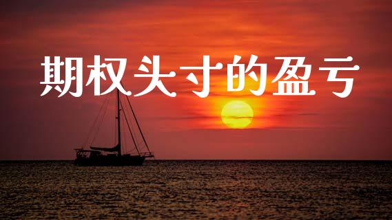 期权头寸的盈亏_https://www.ltsssb.com_新股数据_第1张