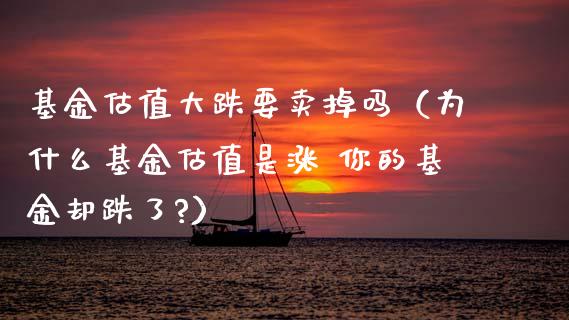 基金估值大跌要卖掉吗（为什么基金估值是涨 你的基金却跌了?）_https://www.ltsssb.com_基金频道_第1张