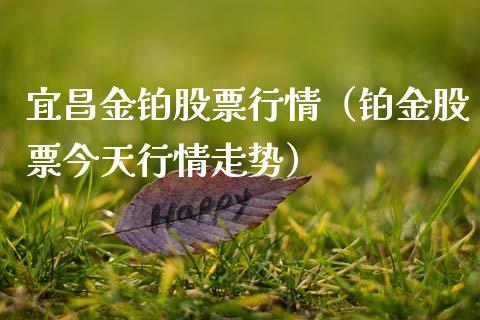 宜昌金铂股票行情（铂金股票今天行情走势）_https://www.ltsssb.com_股市分析_第1张
